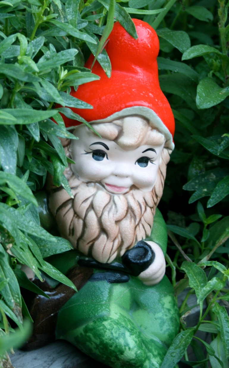 This Old Gnome